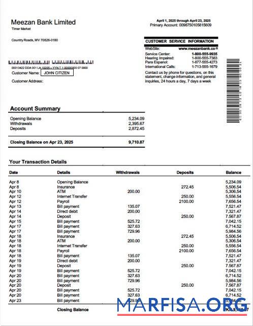 Downloadable Pakistan Meezan Bank Limited account statement word sample